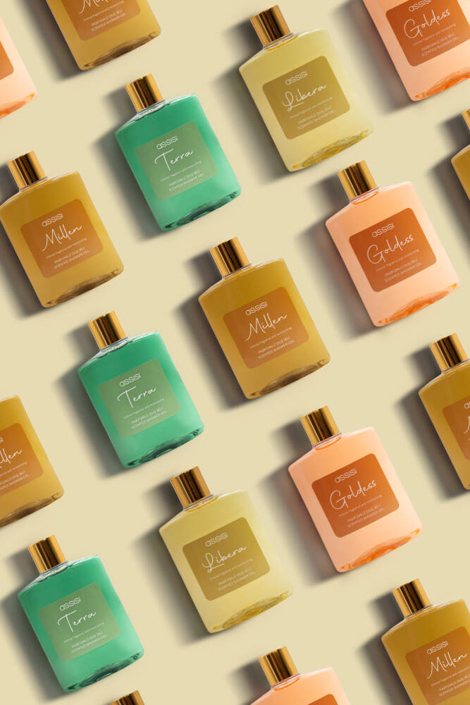 Terra Parfümlü Duş Jeli 475 ml – Kadın & Erkek İçin Kalıcı Koku, Nemlendirici Duş Jeli